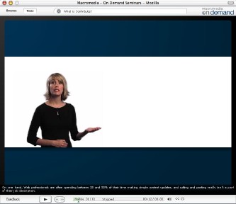 Flash captions in a single full-width line 1/30 the height of the window