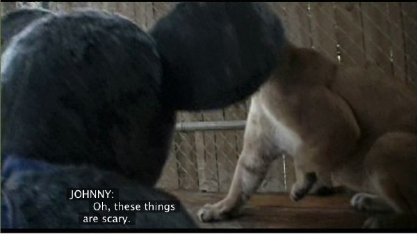 Flush-left captions with staggered left margins (1)